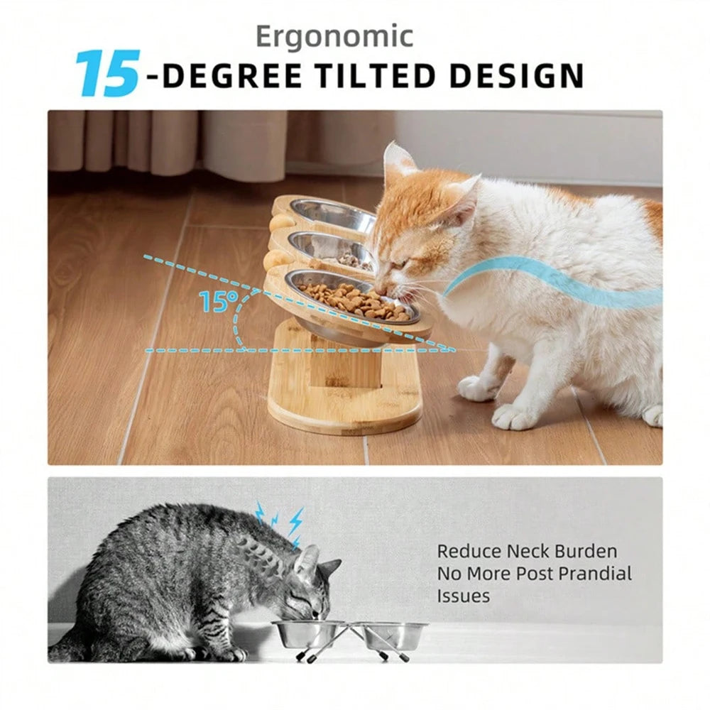 Cat 3-in-1 Feeder with Tilted Stainless Steel Bowls: