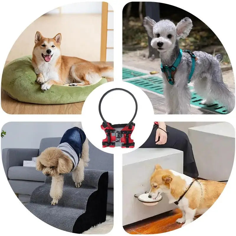Blind Dog Harness with Bumper Ring – Lightweight Adjustable Guiding Device for Visually Impaired Pets – Safe & Comfortable Blind Dog Accessory