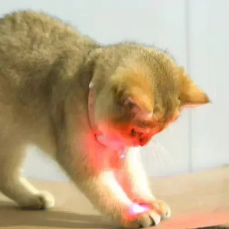 🐾 Intelligent LED Laser Cat Collar – USB Rechargeable Interactive Toy for Indoor Cats | Infrared Motion Laser for Safe Self-Play & Exercise