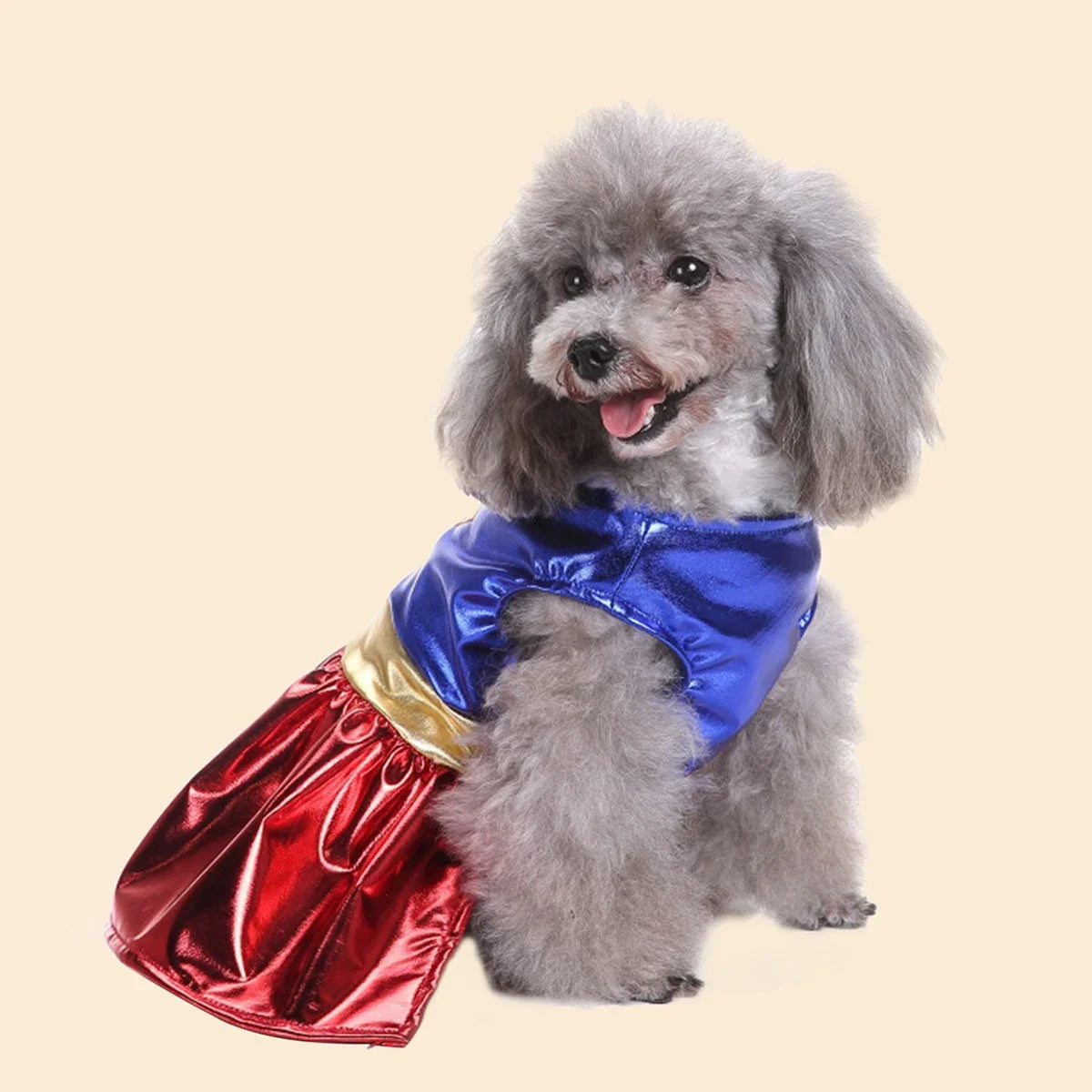 Halloween Pet Costume – Dress-Up Cosplay Outfit for Small & Medium Dogs – Funny & Festive Pet Clothes for Holiday Parties & Photos