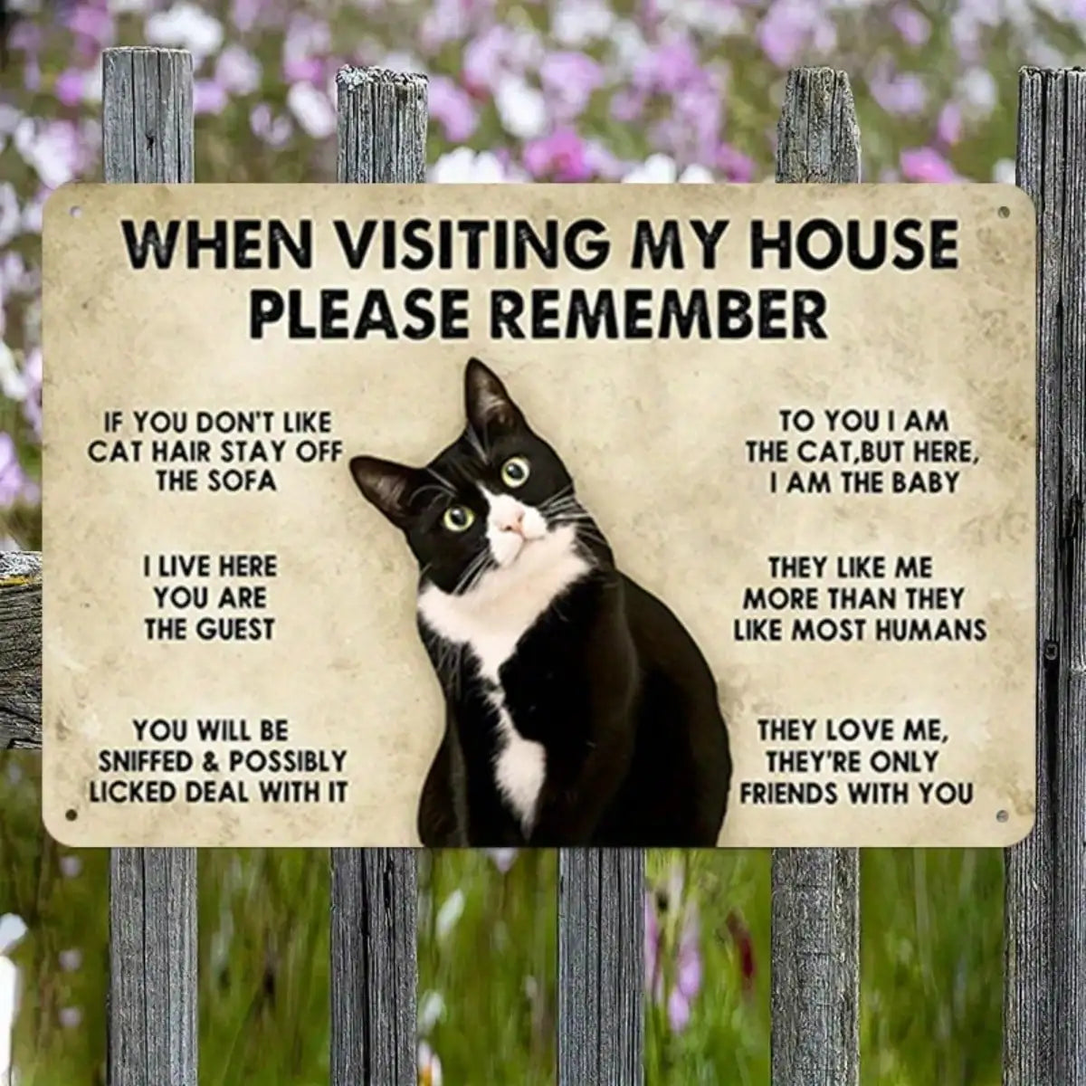 1PC Tin Sign – Funny Pet Theme Home Decor, “When Visiting Remember” Cat Illustration, 8x12 Inches