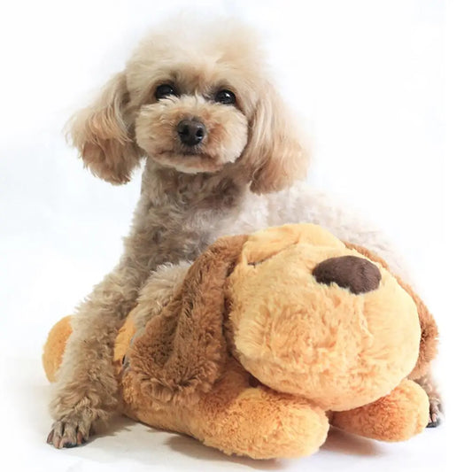 Heartbeat Plush Toy for Pets – Stress Relief & Intimacy-Building Training Toy for Dogs and Cats