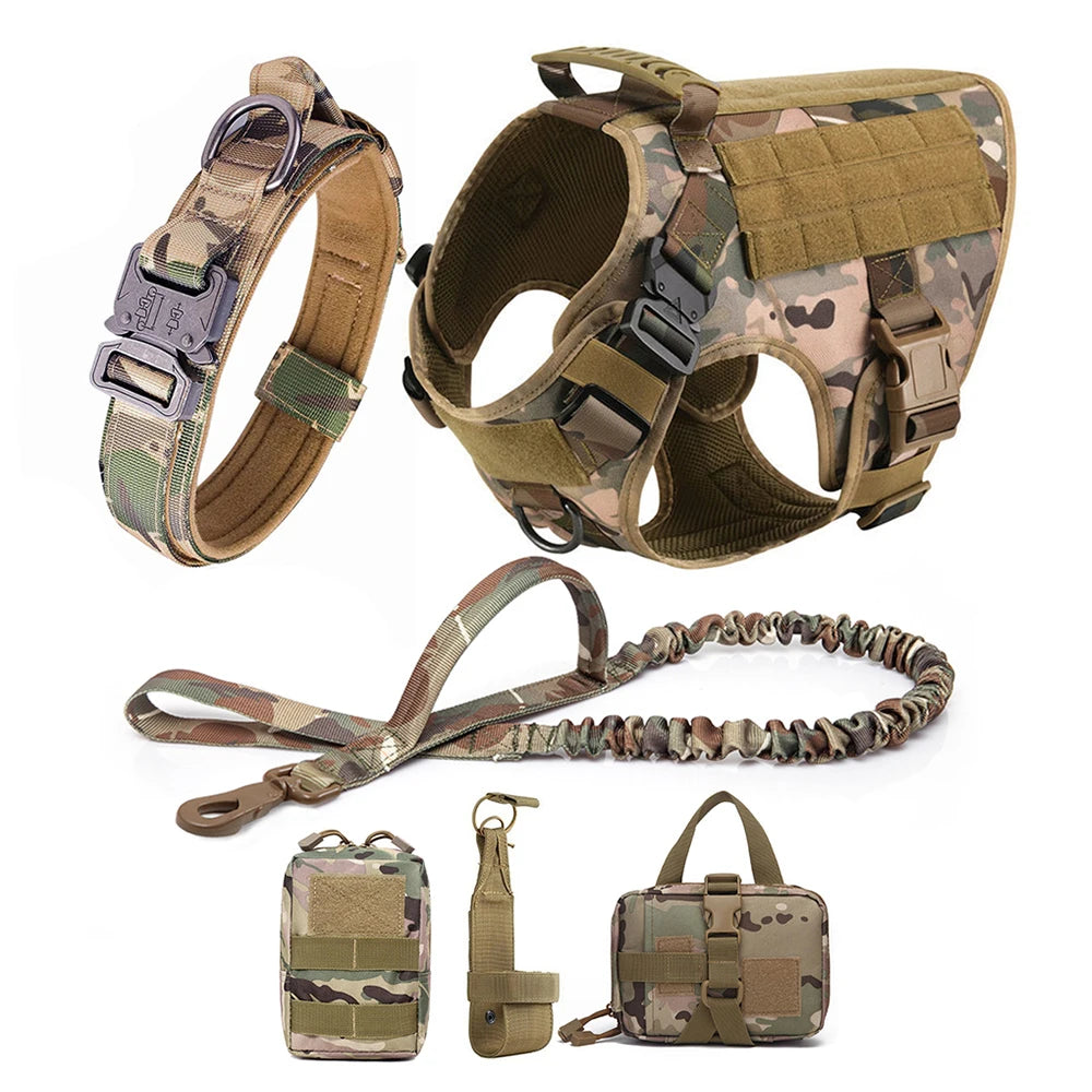 Large Pet Harness And Leash Set