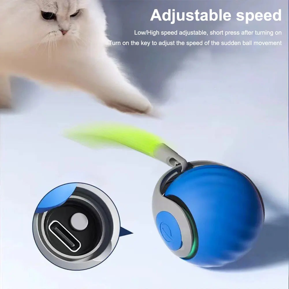 Automatic Moving Cat Toy Ball – USB Rechargeable Interactive Smart Cat Toy with Speedy Tail for Indoor Play & Exercise