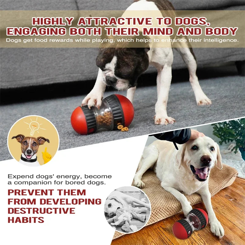 Sturdy Durable Interactive Elliptical Track Rolling Pet Food Ball