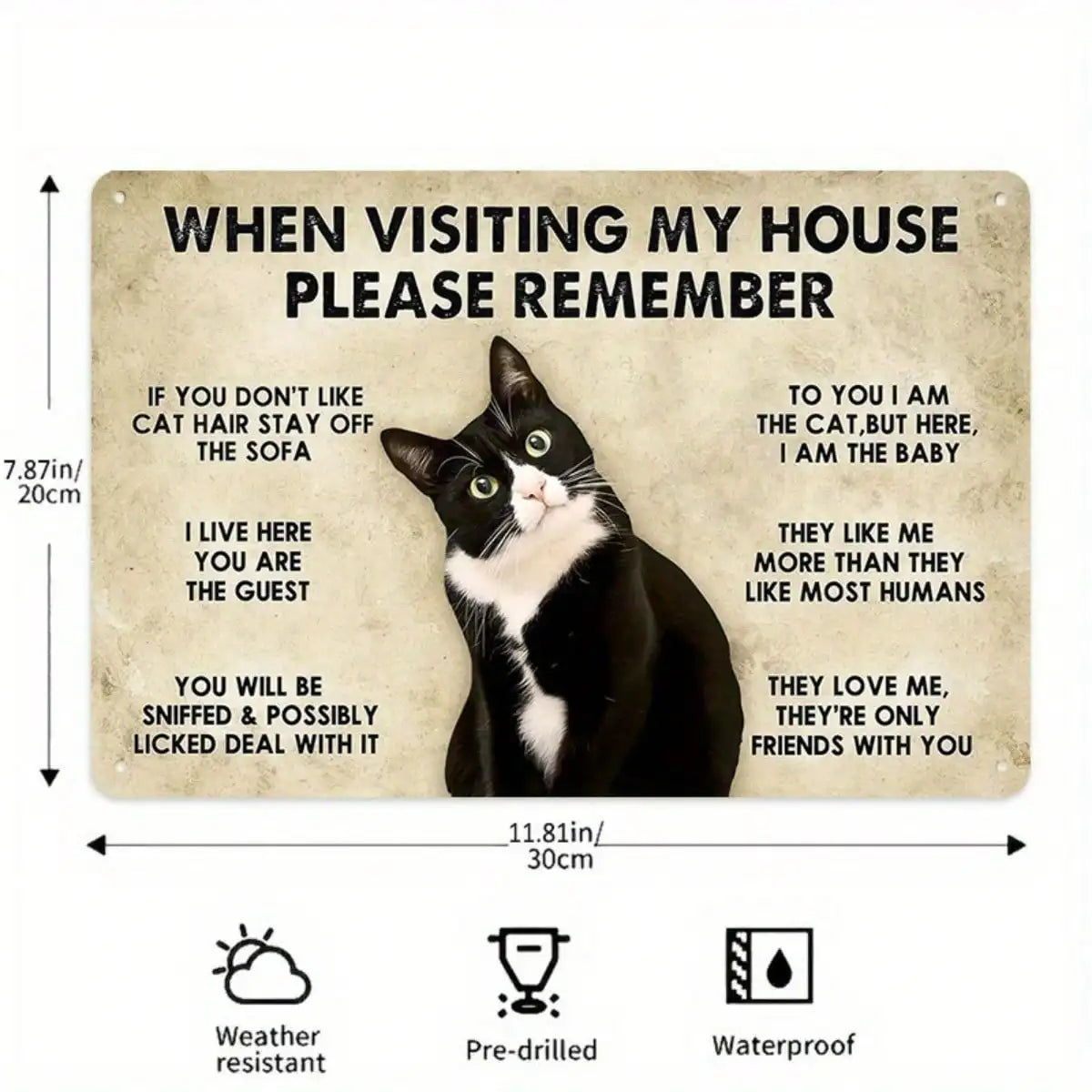 1PC Tin Sign – Funny Pet Theme Home Decor, “When Visiting Remember” Cat Illustration, 8x12 Inches