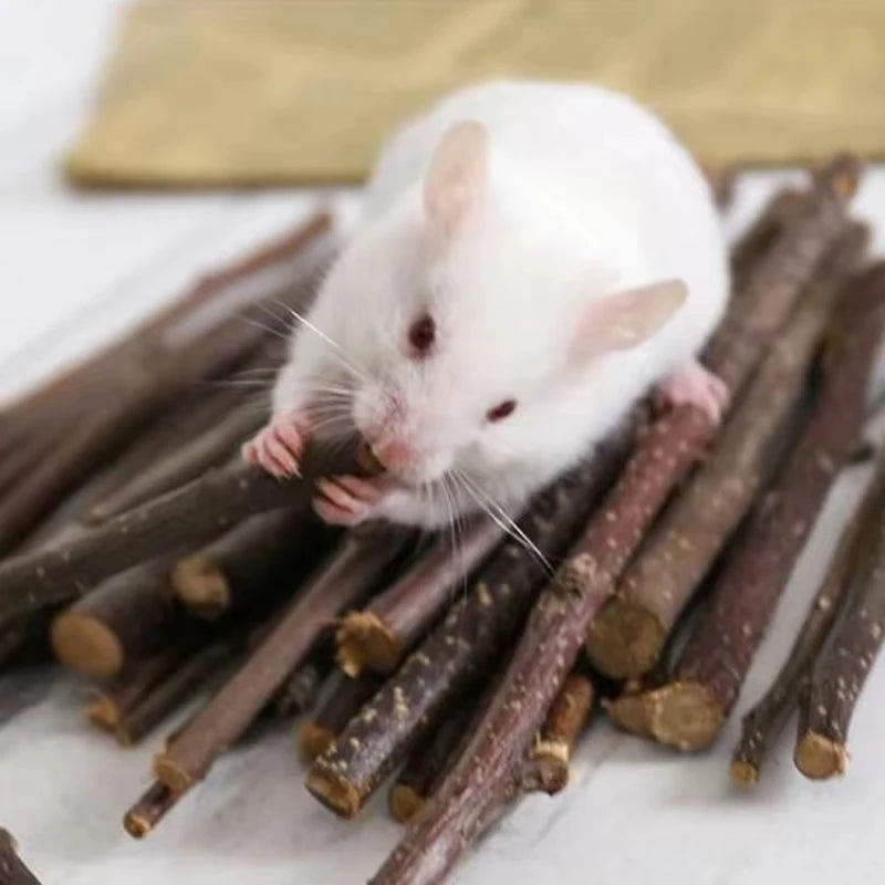 Natural Wooden Small Animal Toy Set – Chew Toys for Guinea Pigs, Rabbits, Hamsters | Dumbbells, Unicycle, Bell, Braided Balls & More