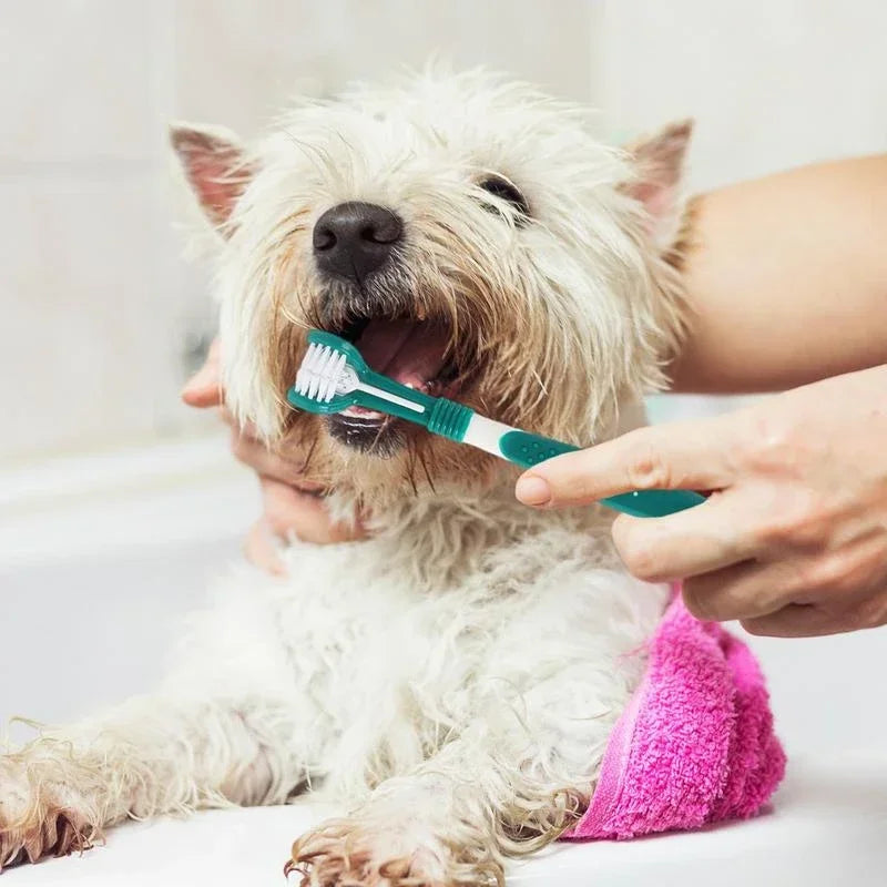 3-Sided Pet  Plastic Toothbrush - Easy Bad Breath & Tartar Removal for Dogs & Cats