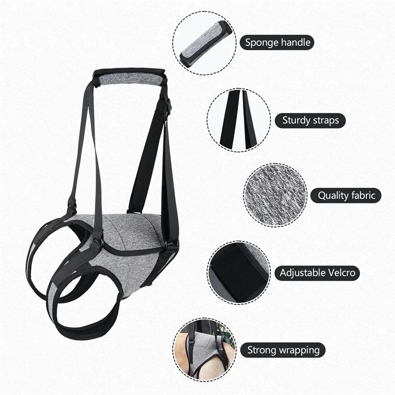 Adjustable Dog Lift Harness for Large Dogs – Soft Padded Rear Leg Support for Senior, Disabled, and Injured Dogs