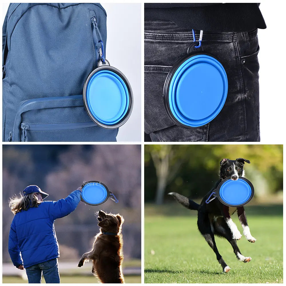 Collapsible Pet Silicone Food or Water Bowl
