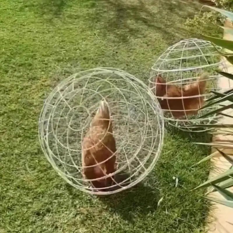Rolling Ball Pet Cage 3 Pieces