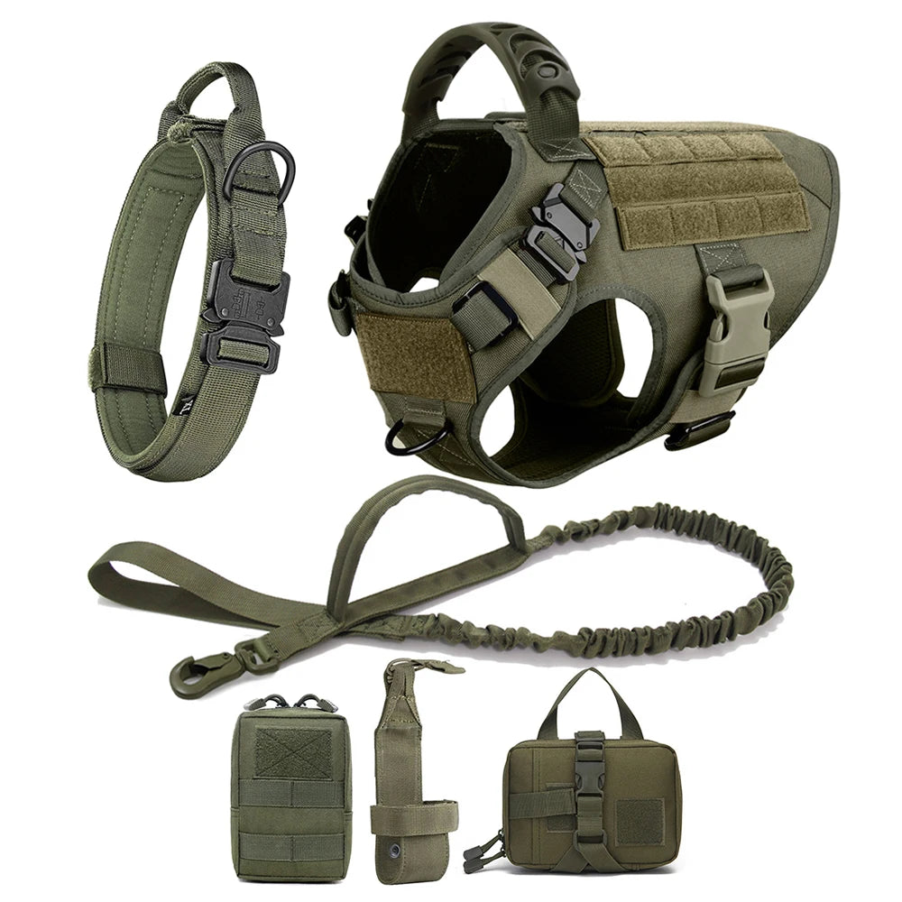 Large Pet Harness And Leash Set