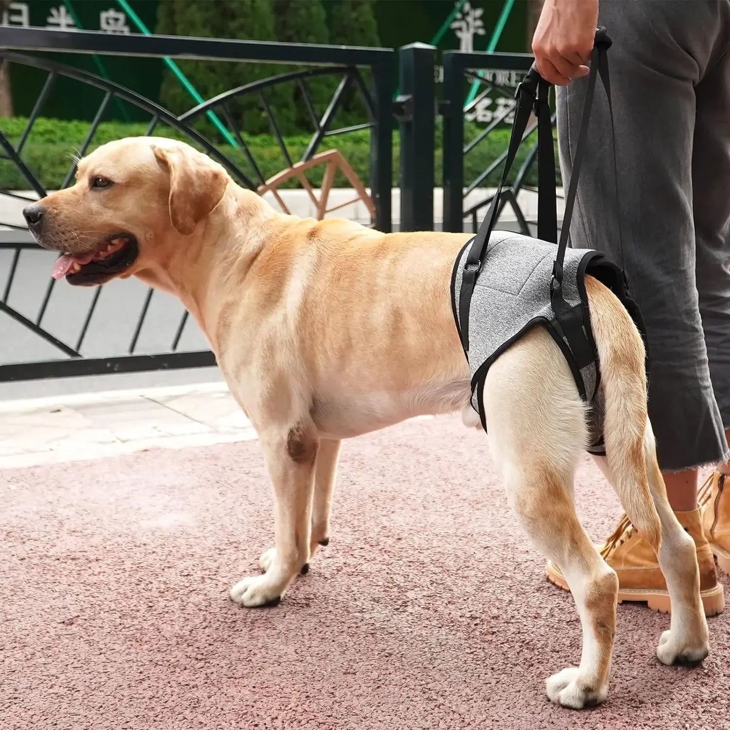 Dog Leg Support Harness – Rehabilitation & Mobility Aid for Injured or Post-Surgery Dogs