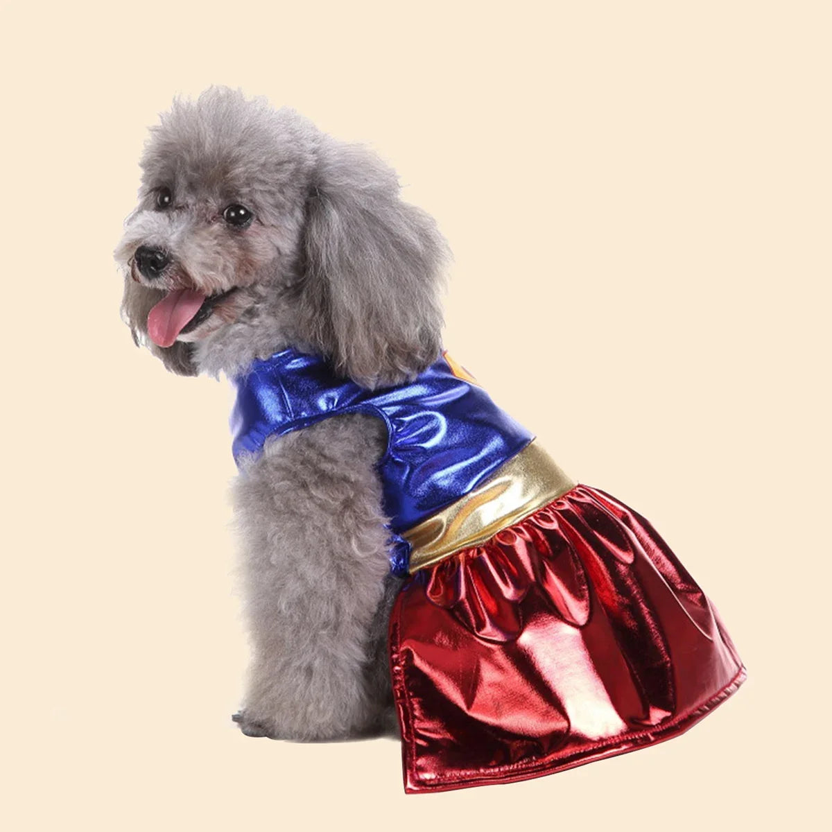 Halloween Pet Costume – Dress-Up Cosplay Outfit for Small & Medium Dogs – Funny & Festive Pet Clothes for Holiday Parties & Photos