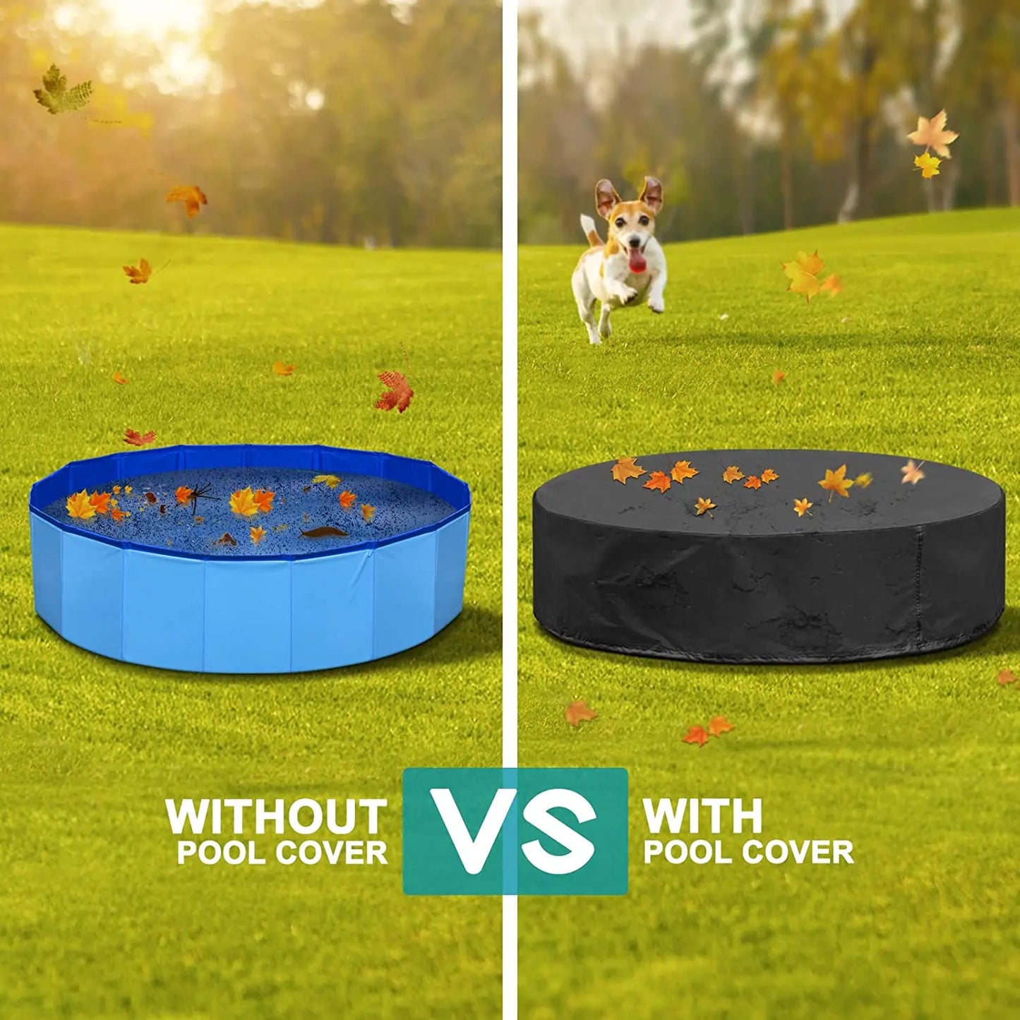 Portable Dog Swimming Pool & Bathing Tub – Foldable Plastic Pet Pool with Scratch-Resistant Material, Grooming Tub & Cover for Large Dogs