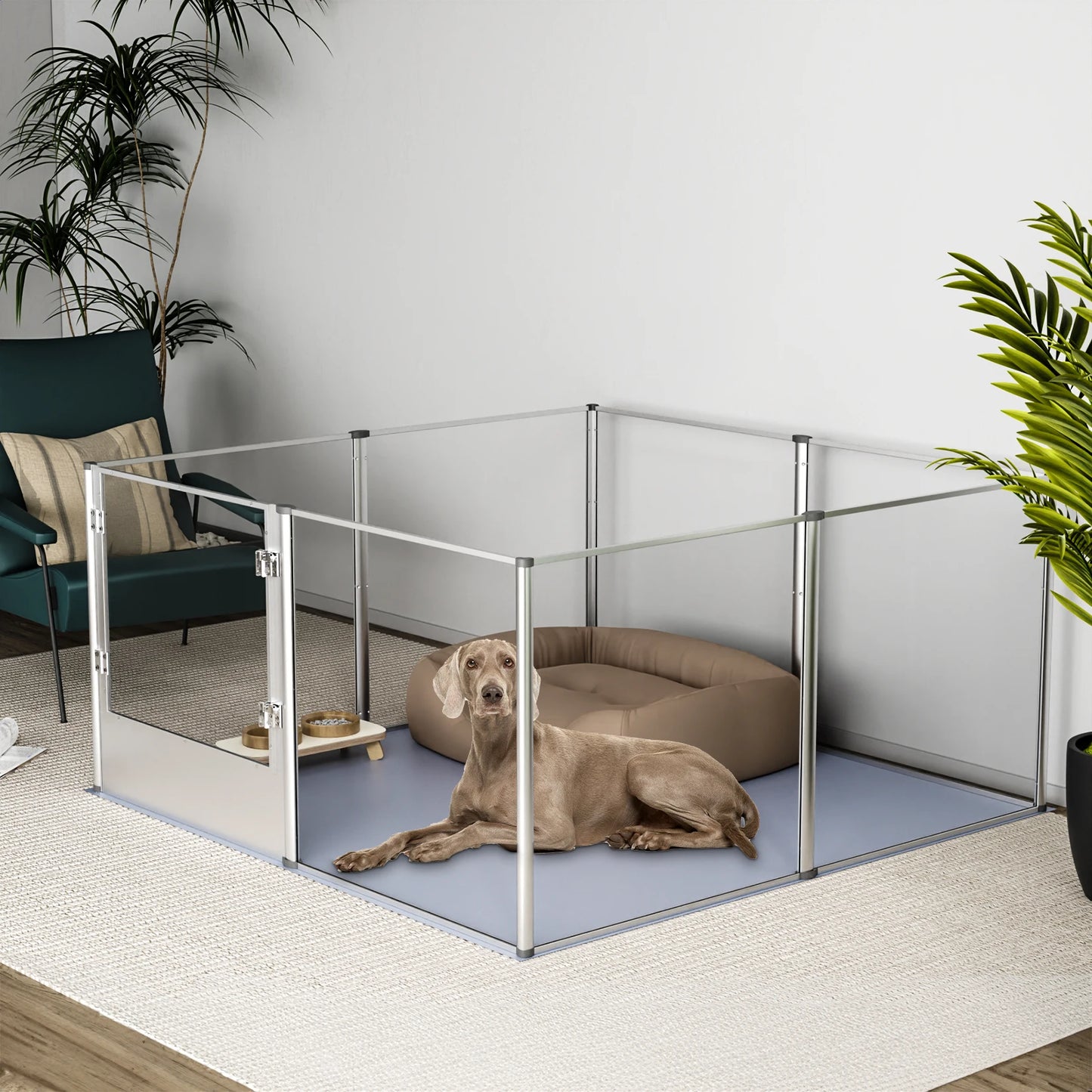 BingoPaw Clear Acrylic Dog Playpen Fence – Transparent Pet Exercise Pen with Waterproof Whelping Pad for Cats, Puppies, and Small Animals