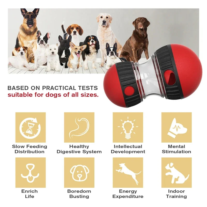 Sturdy Durable Interactive Elliptical Track Rolling Pet Food Ball