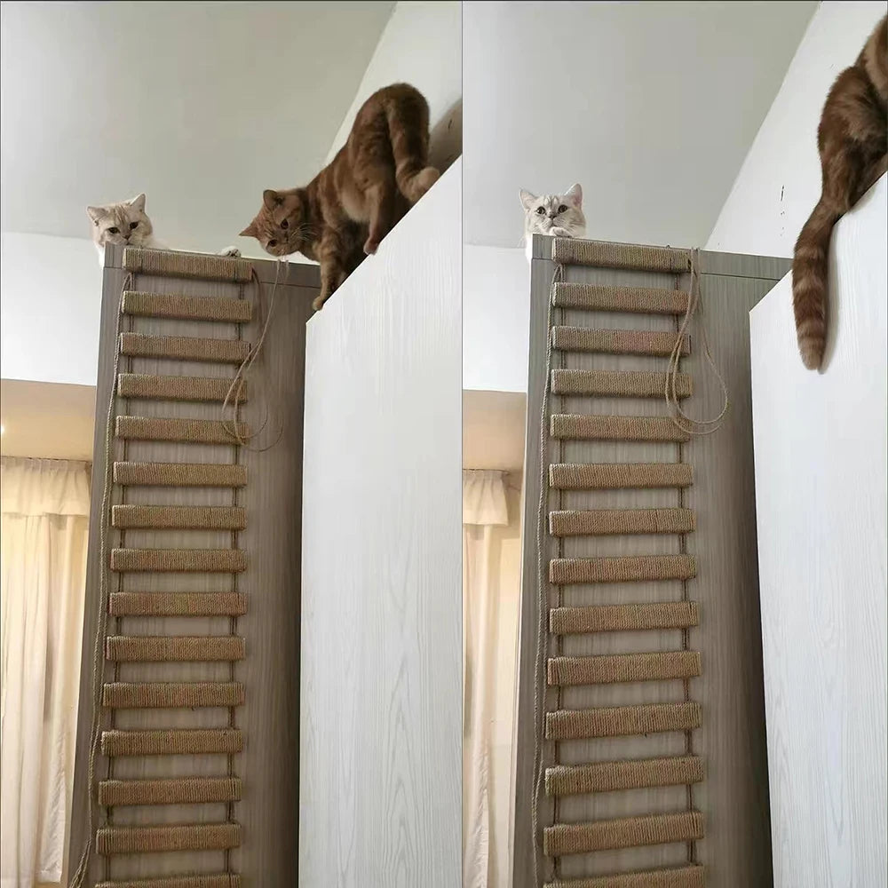 39.4" Cat Bridge for Cage – Sisal Rope Ladder & Wooden Step Scratcher | Pet Furniture & Cat Accessories
