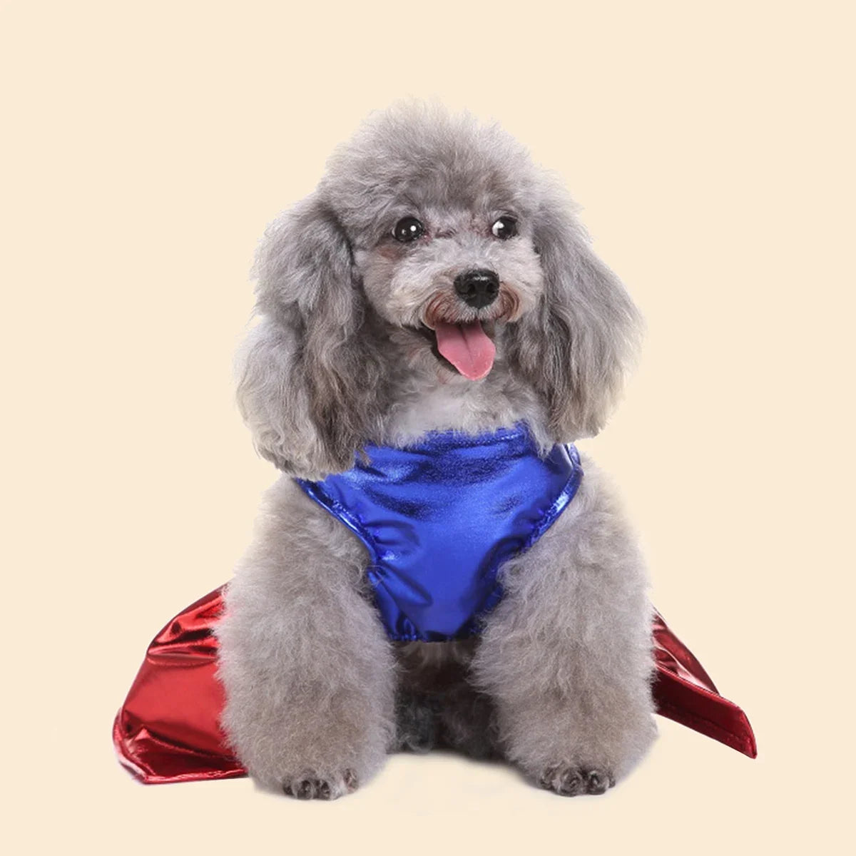 Halloween Pet Costume – Dress-Up Cosplay Outfit for Small & Medium Dogs – Funny & Festive Pet Clothes for Holiday Parties & Photos