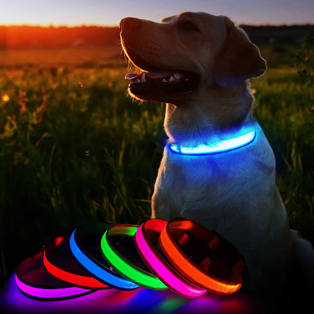 Waterproof, Luminous, Glow-in-the-Dark Collar for Nighttime Pet Visibility