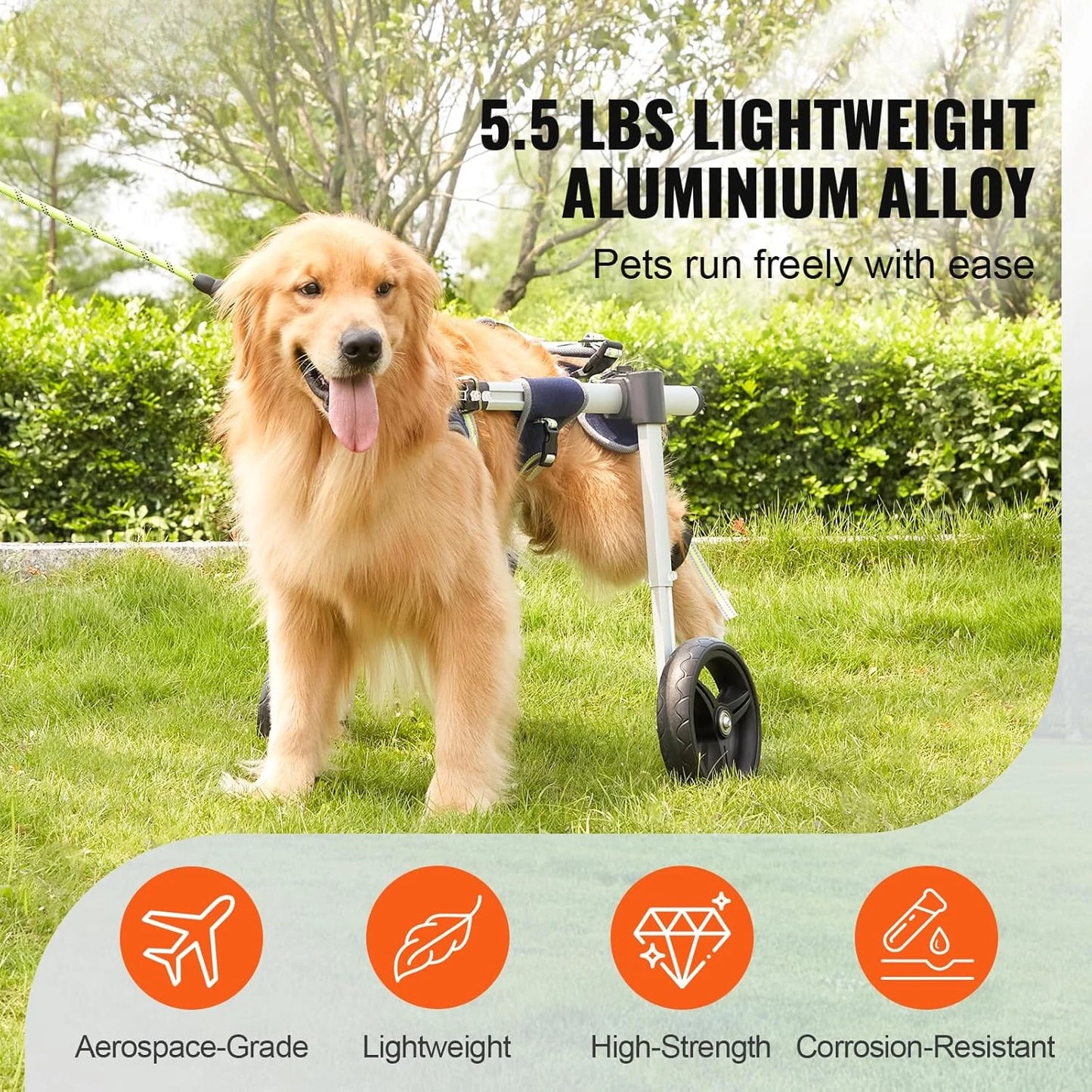 Lightweight & Adjustable Dog 2 Wheel Wheelchair for Back Legs
