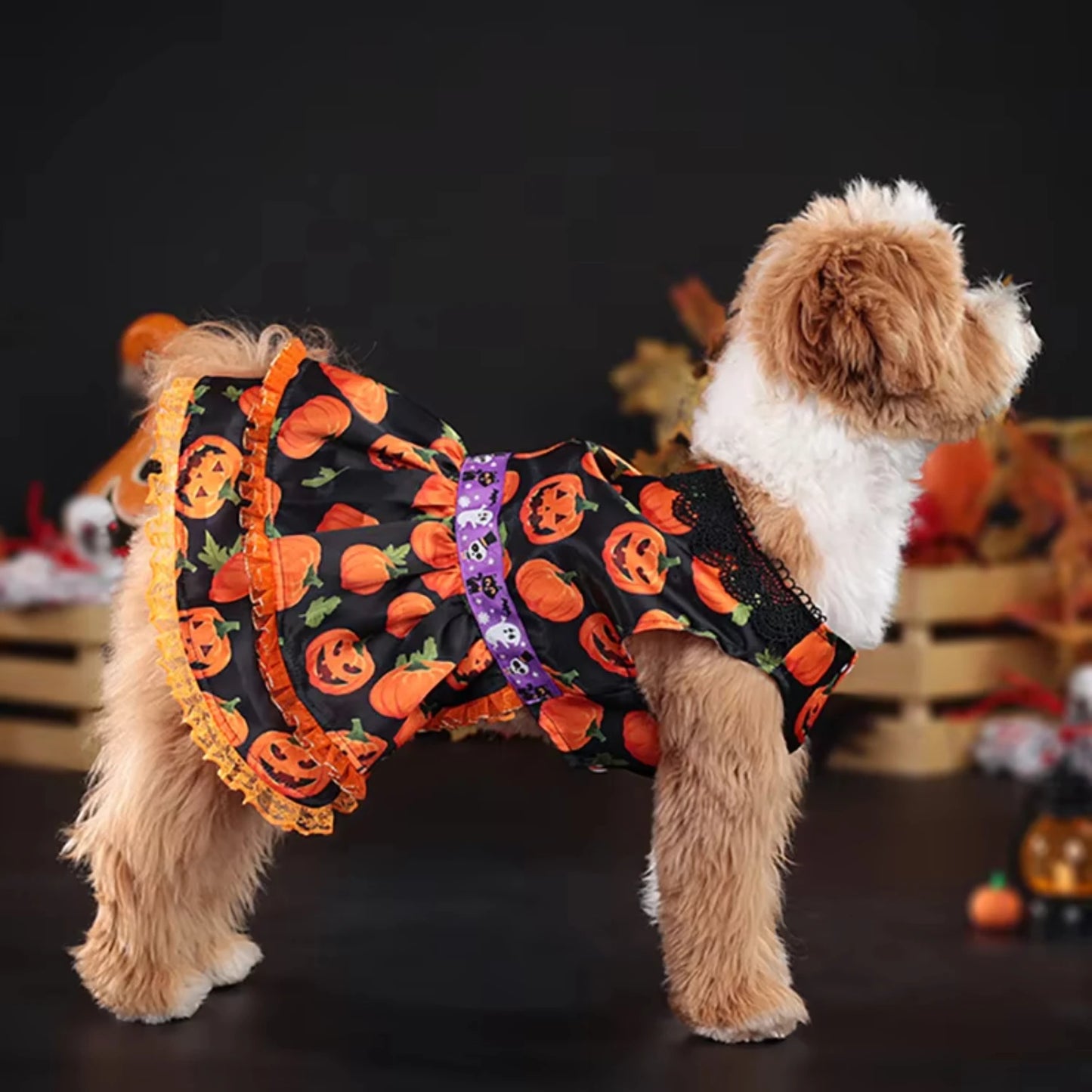 Halloween Dog Costume Dress – Pumpkin Skirt Outfit for Small Dogs | White Girl Dog Clothes for Halloween Parties