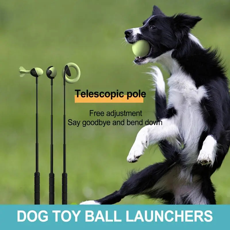 Dog Tennis Ball Launcher Stick – Hand Throwing Pole for Outdoor Play & Training, Interactive Fetch Toy for Dogs