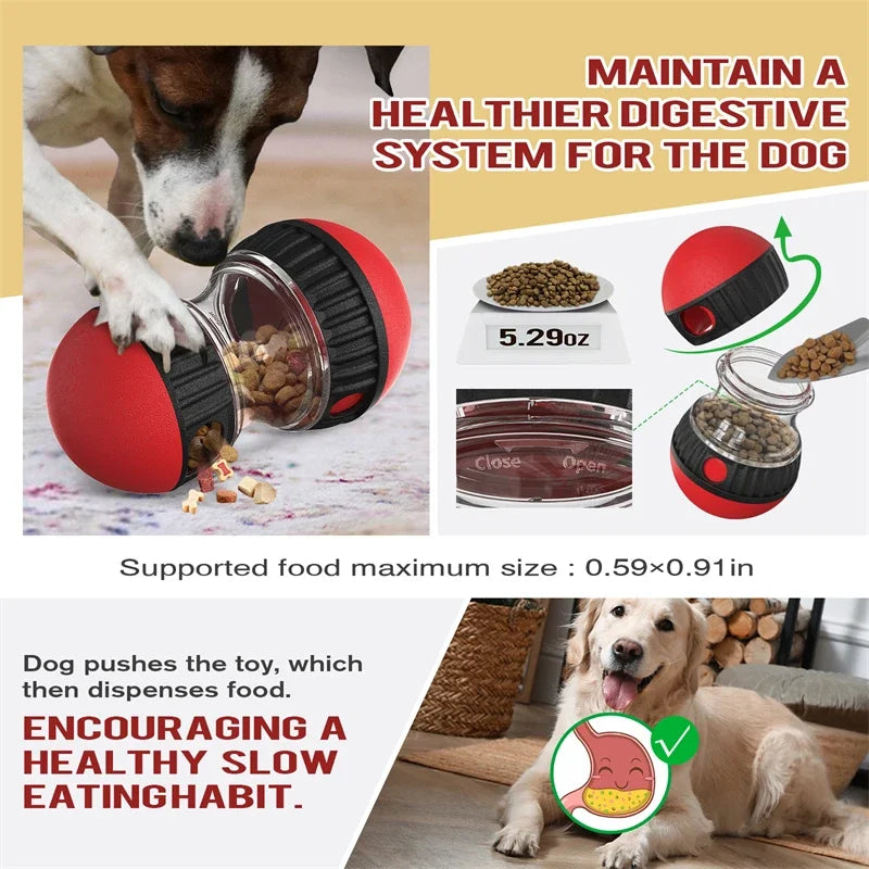 Sturdy Durable Interactive Elliptical Track Rolling Pet Food Ball