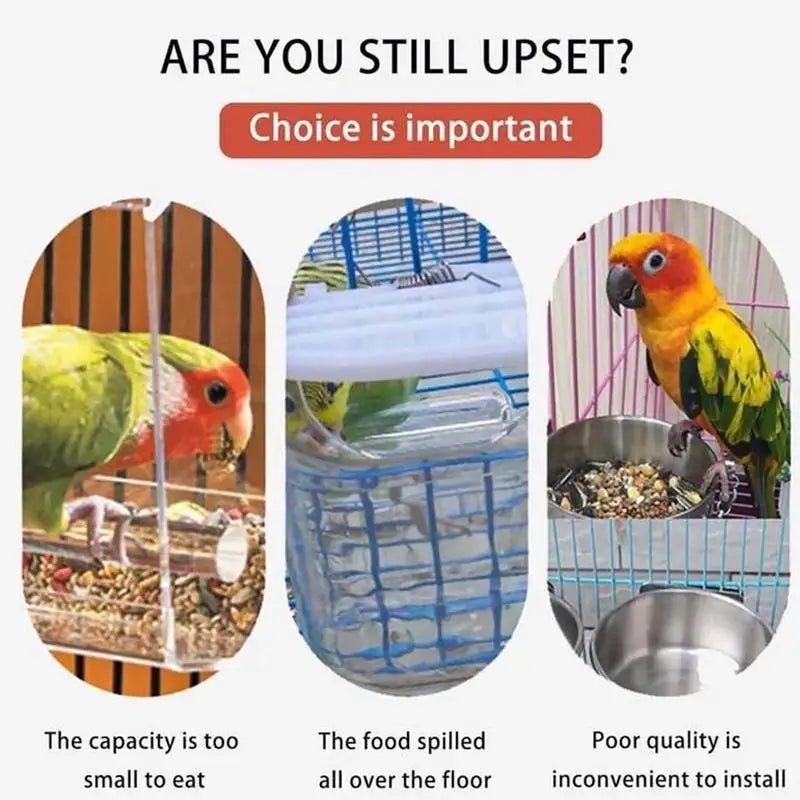 No-Mess Automatic Parrot Food Feeder – Clear Acrylic Bird Seed Container for Small & Medium Parakeets, Cage-Mounted Bird Feeding Accessory