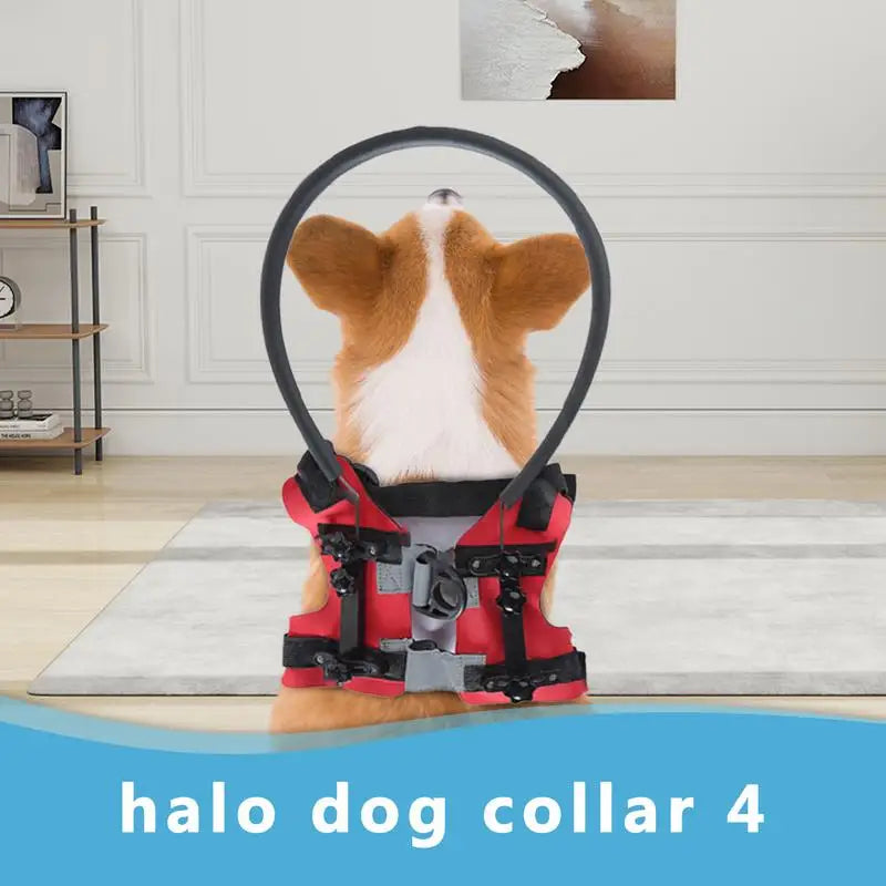 Blind Dog Harness with Bumper Ring – Lightweight Adjustable Guiding Device for Visually Impaired Pets – Safe & Comfortable Blind Dog Accessory