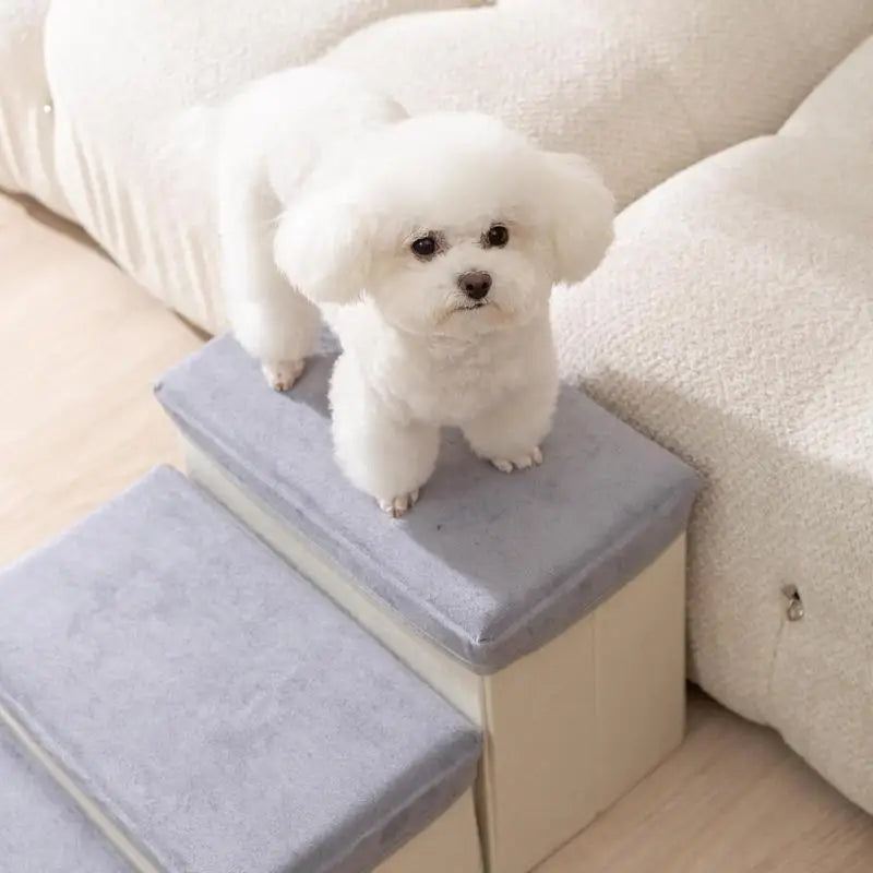Indoor Foldable Pet Climbing Steps / Stairs
