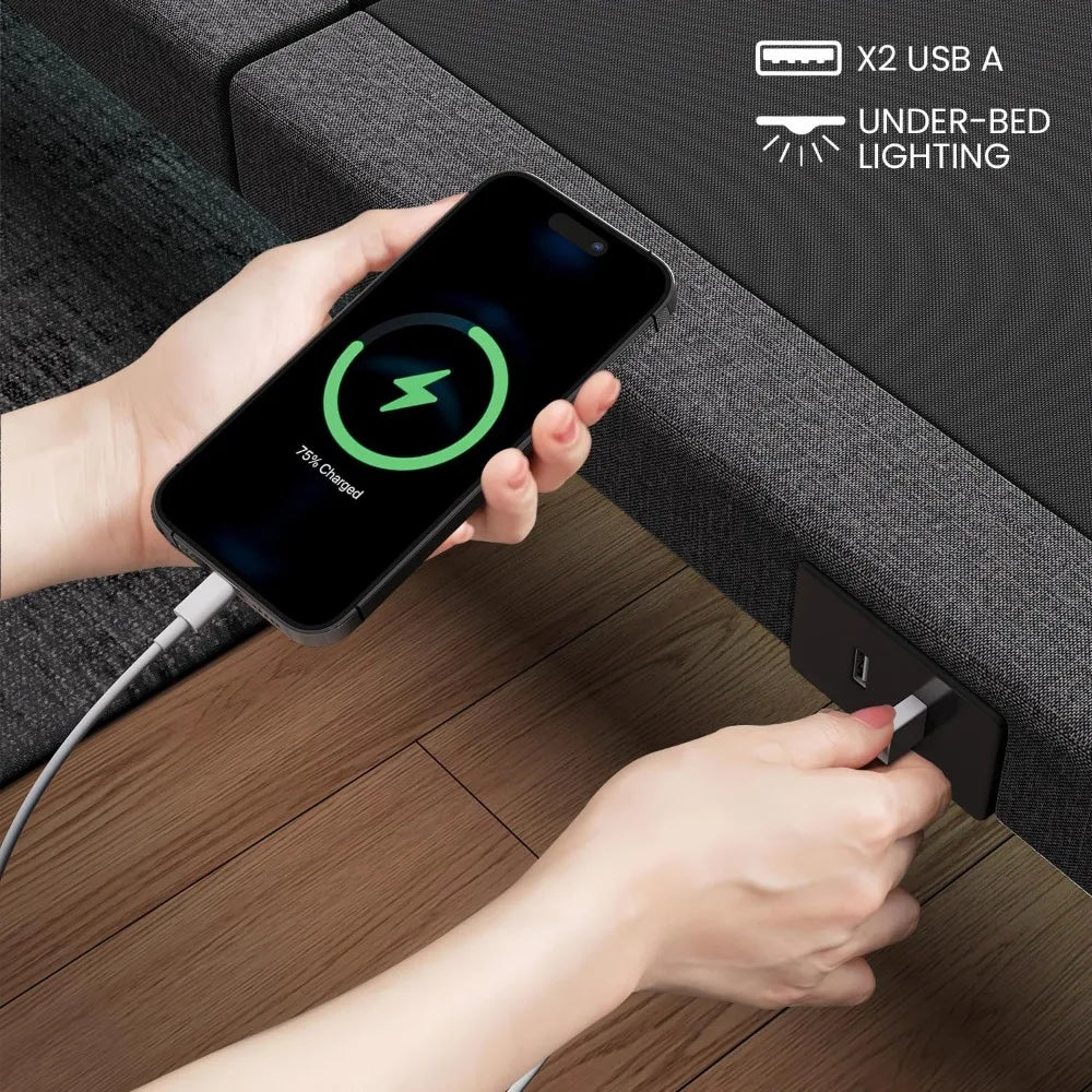 Queen with Massage Adjustable Bed Base with Wireless Remote Electric Power Bed Foundation Under-Bed Lighting
