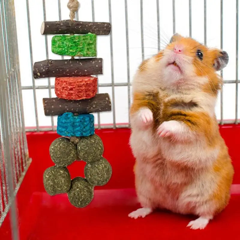 Wooden Chew Toys for Guinea Pigs – Natural Teething & Oral Care Toy for Hamsters, Hedgehogs, Degus, and Small Pets