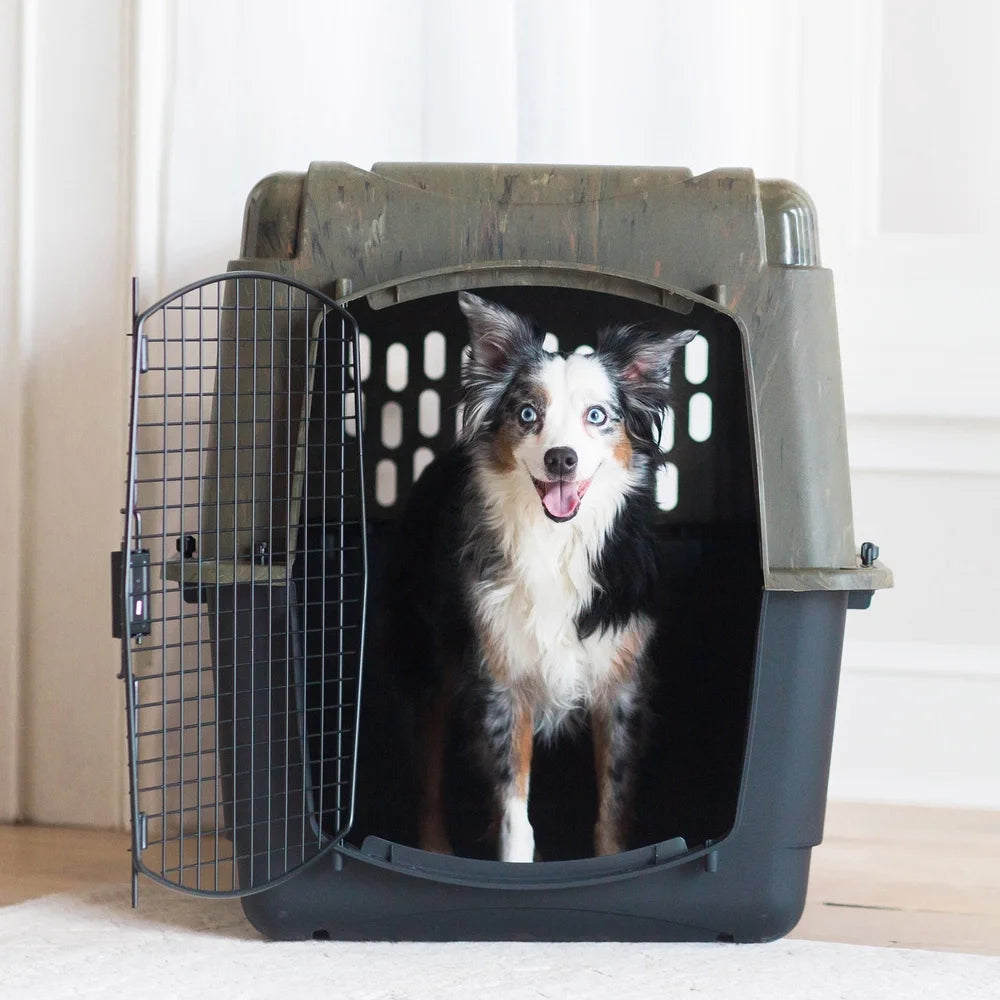Large Plastic Dog Kennel – Portable Outdoor & Indoor Pet Carrier Crate with 360° Ventilation | Suitable for Dogs 70-90 lbs