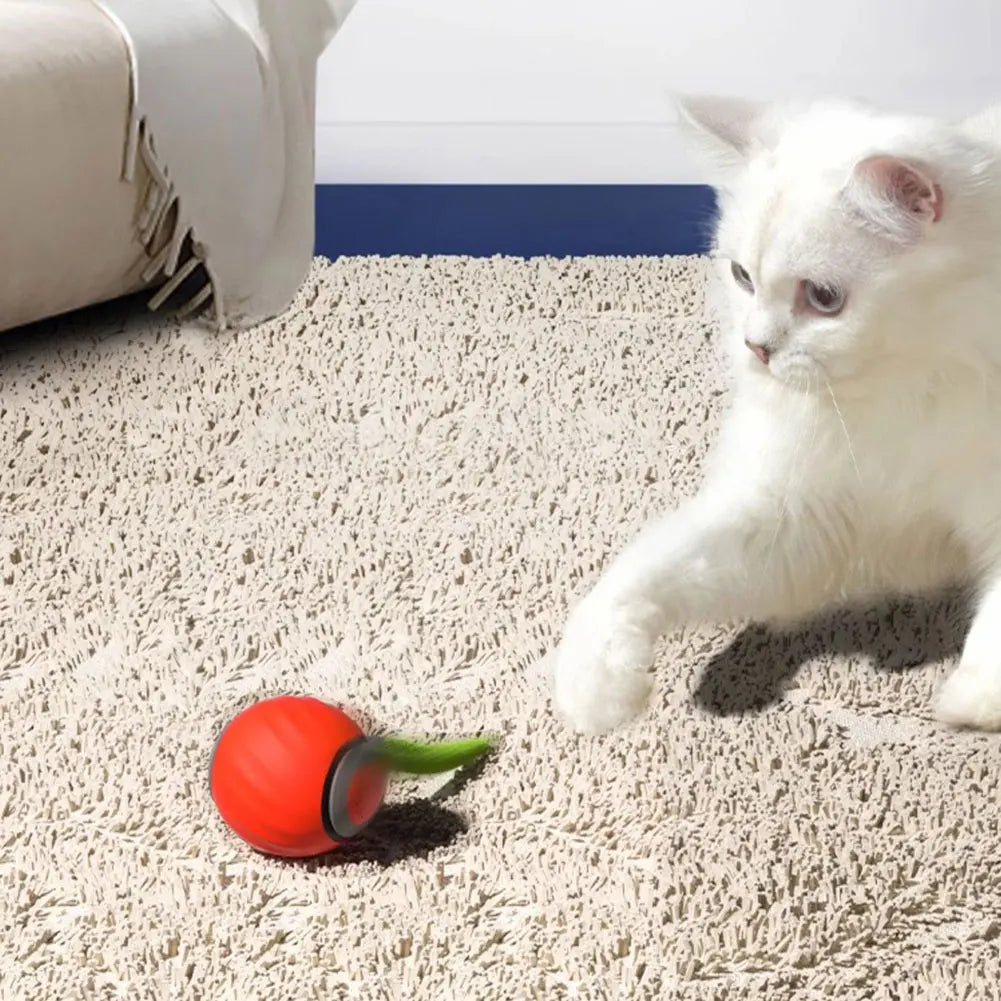 Automatic Moving Cat Toy Ball – USB Rechargeable Interactive Smart Cat Toy with Speedy Tail for Indoor Play & Exercise