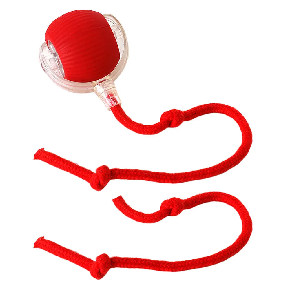 Rechargeable Electric Automatic Interactive Ball Toy for Cats or Dogs