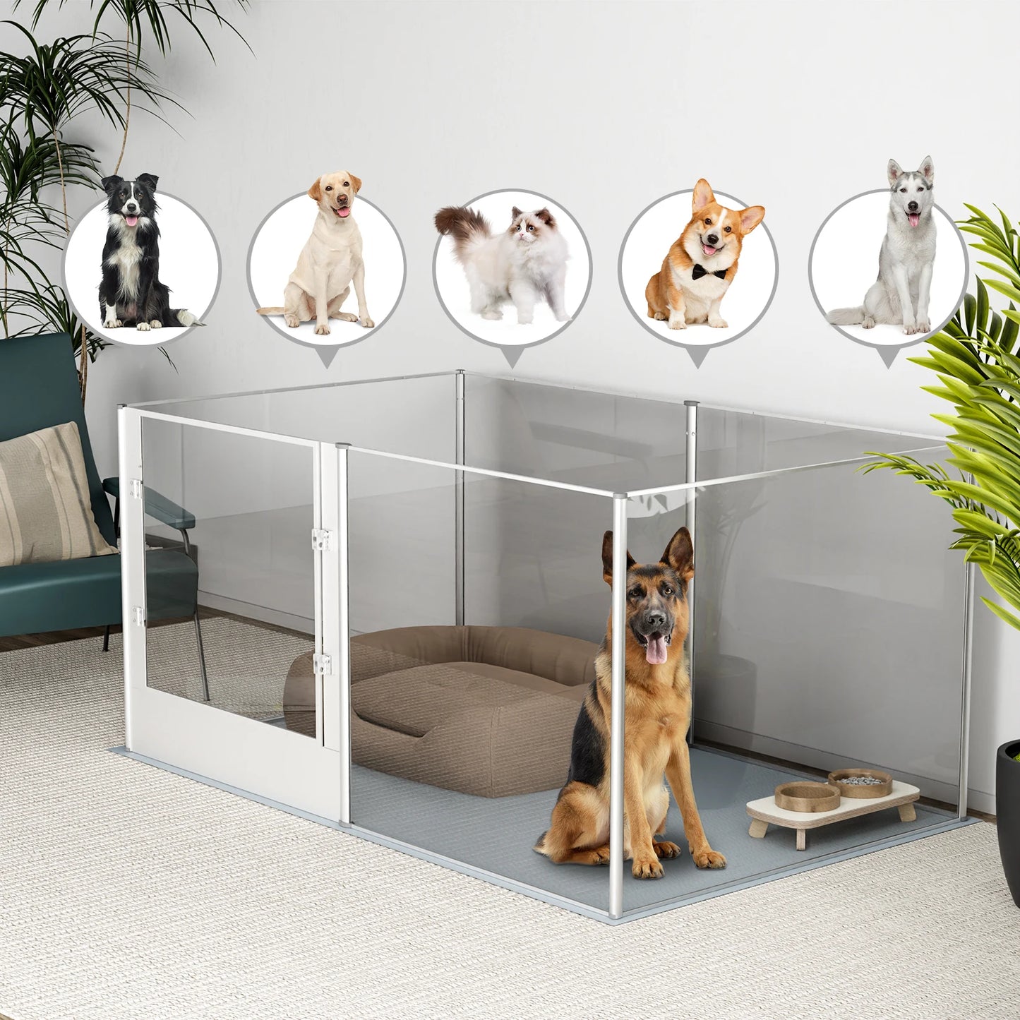 BingoPaw Clear Acrylic Dog Playpen Fence – Transparent Pet Exercise Pen with Waterproof Whelping Pad for Cats, Puppies, and Small Animals