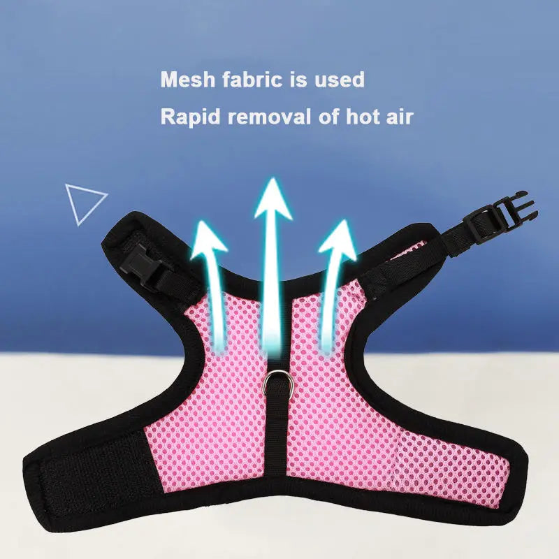 Mutil-Colors Breathable and Adjustable Soft Harness  with Elastic Leash Set
