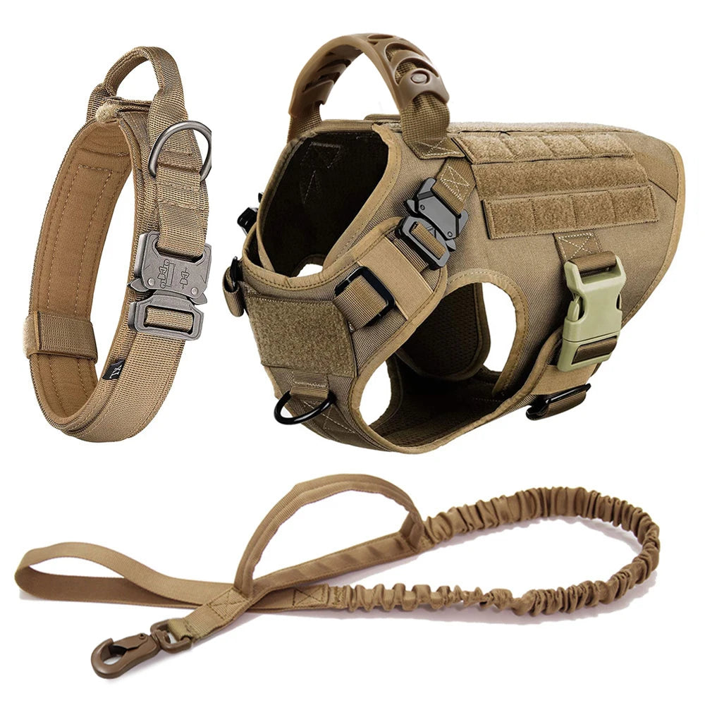 Large Pet Harness And Leash Set