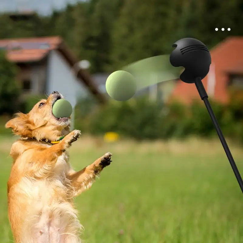 Dog Tennis Ball Launcher Stick – Hand Throwing Pole for Outdoor Play & Training, Interactive Fetch Toy for Dogs