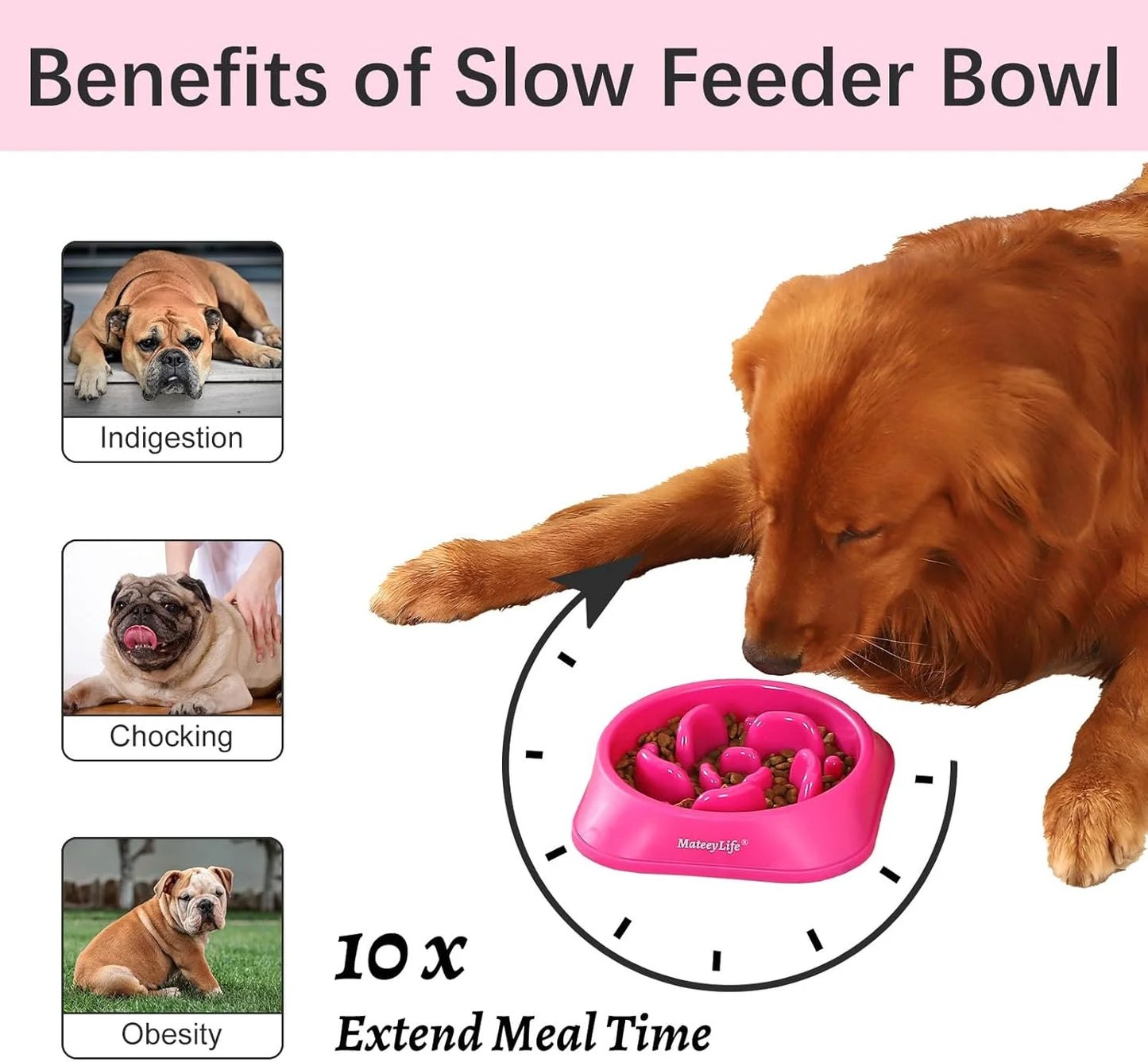 Slow Feeder Dog Bowl – Anti-Choking Puzzle Feeder for Medium & Large Dogs, Non-Slip Interactive Bowl, Purple