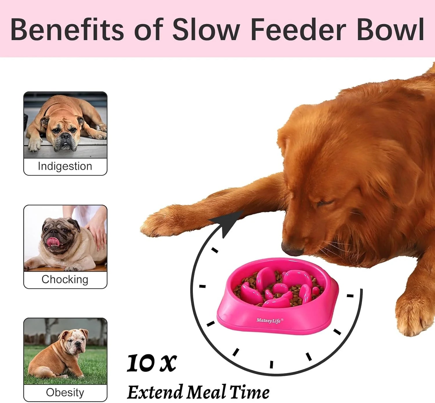Slow Feeder Dog Bowl – Anti-Choking Puzzle Feeder for Medium & Large Dogs, Non-Slip Interactive Bowl, Purple