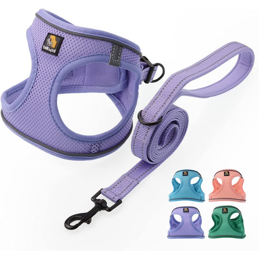Puppy Harness & Leash Set – Reflective Adjustable Step-In Dog Harness for Small Dogs, Purple Lavender, XS