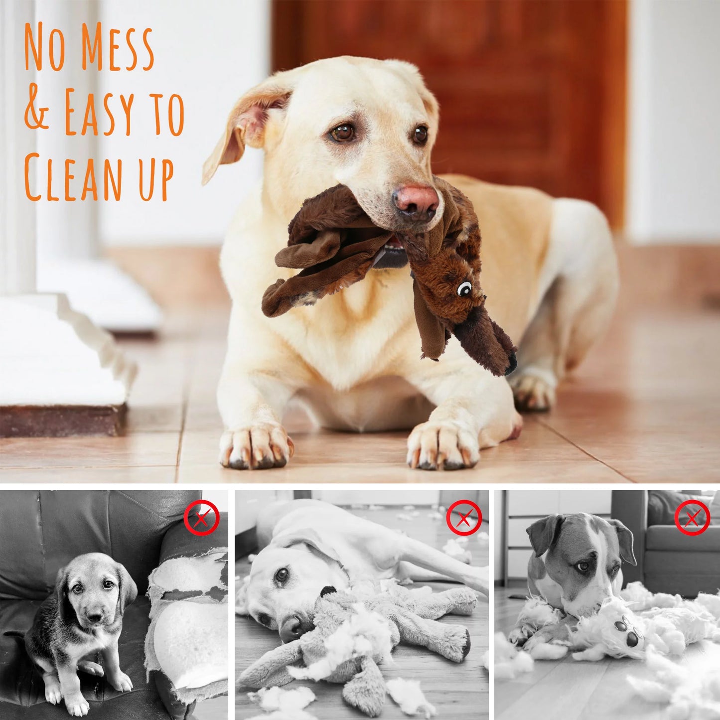5-Pack Squeaky Dog Toys – No-Stuffing Chew Toys for Small Dogs