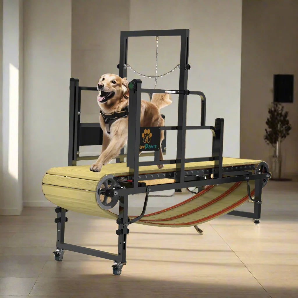 Dog Treadmill for Large & Medium Dogs – Indoor/Outdoor Slatmill for Dogs up to 220 lbs