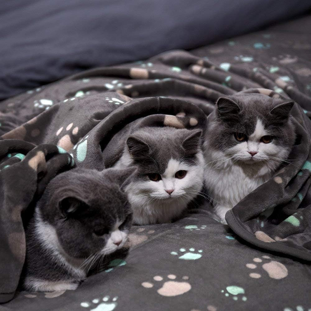 350 GSM Super Soft Fuzzy Flannel Fleece Pet Blanket – Grey, 40" x 32"