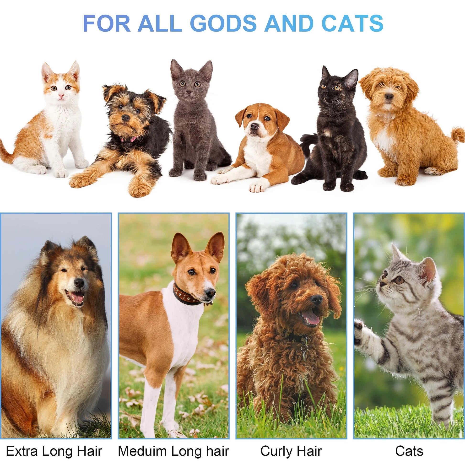 14Kpa Pet Grooming Kit & Vacuum – 2.5L Low-Noise Dog & Cat Hair Suction with 3 Modes and 5 Grooming Tools, White