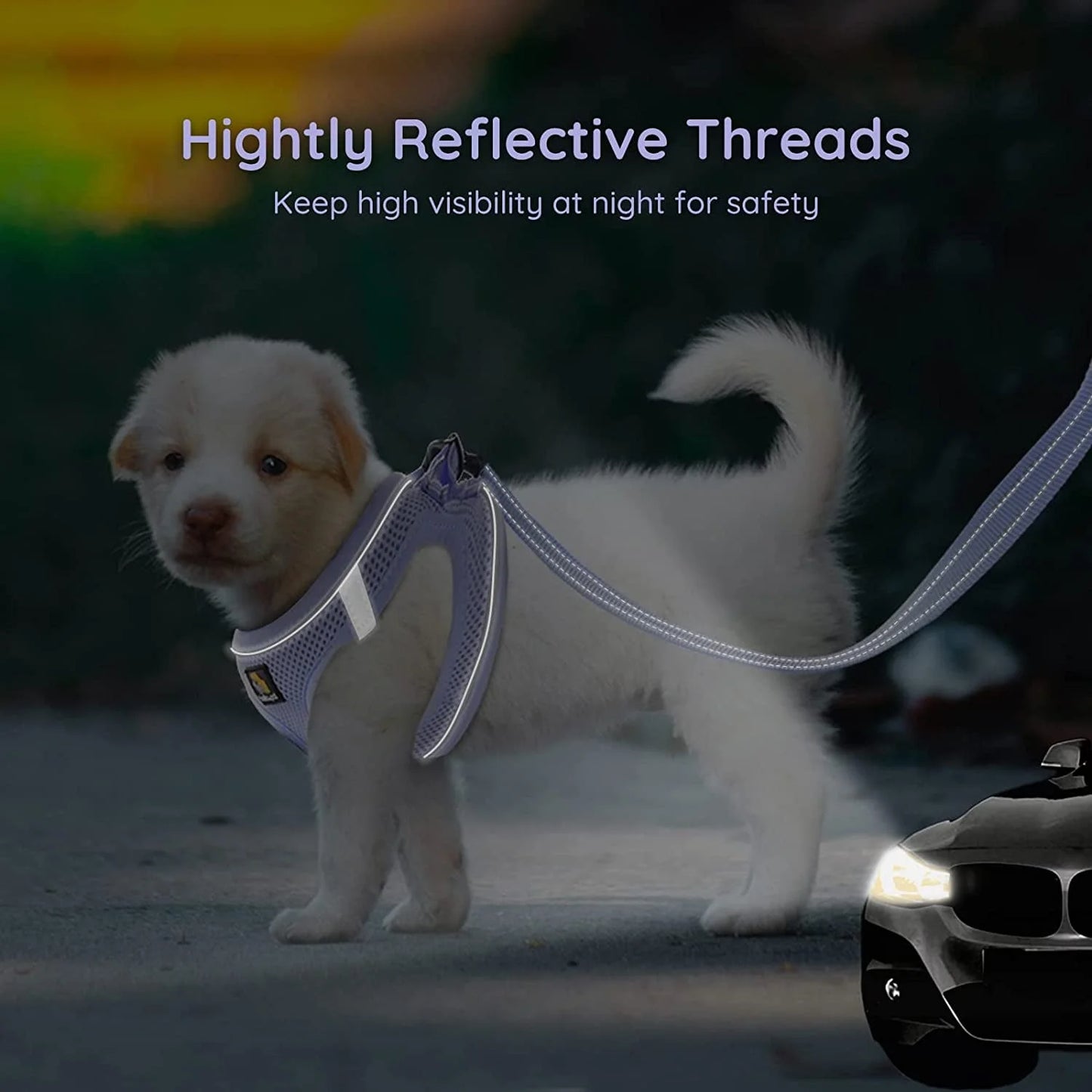 Puppy Harness & Leash Set – Reflective Adjustable Step-In Dog Harness for Small Dogs, Purple Lavender, XS