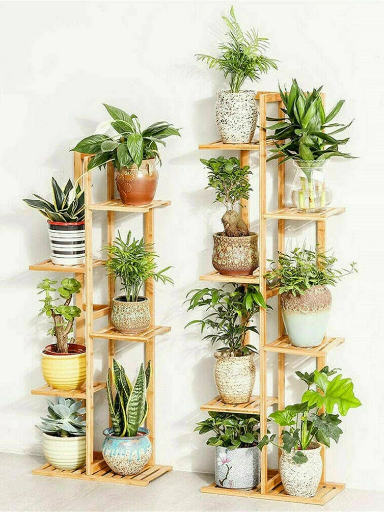 Modern bamboo plant shelf for home holding various potted green plants in a bright setting
